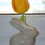 Apartmán Veselko Makarská