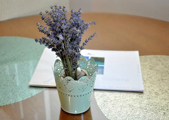 Veselko Макарска