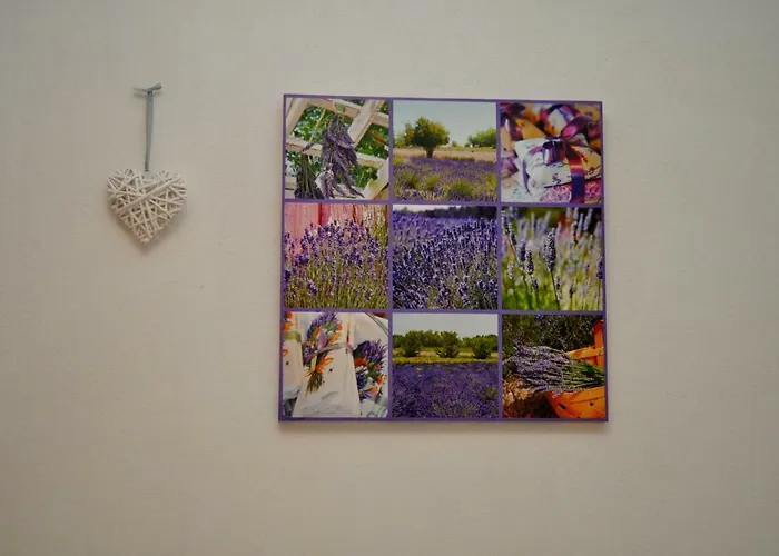 Veselko Апартаменты