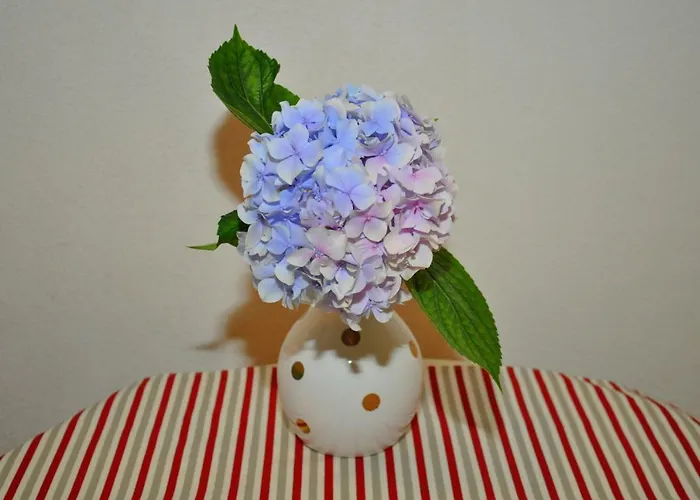 Veselko Макарска