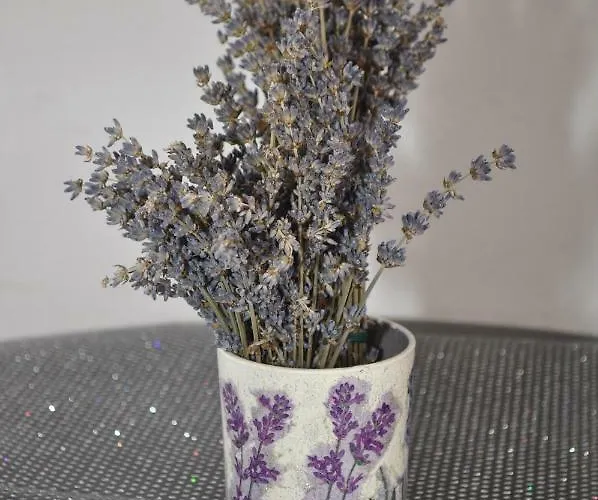 Veselko Макарска